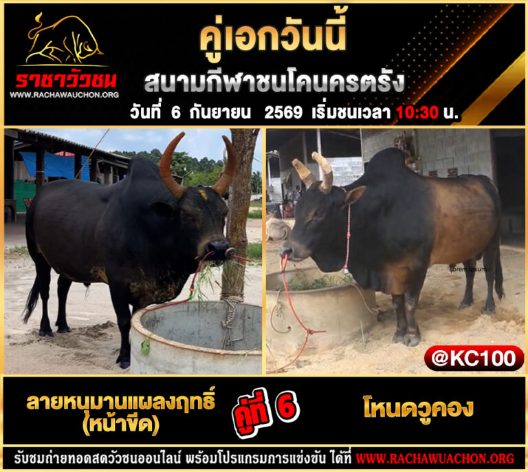 โปรแกรมวัวชนวันนี้ 6-9-2569