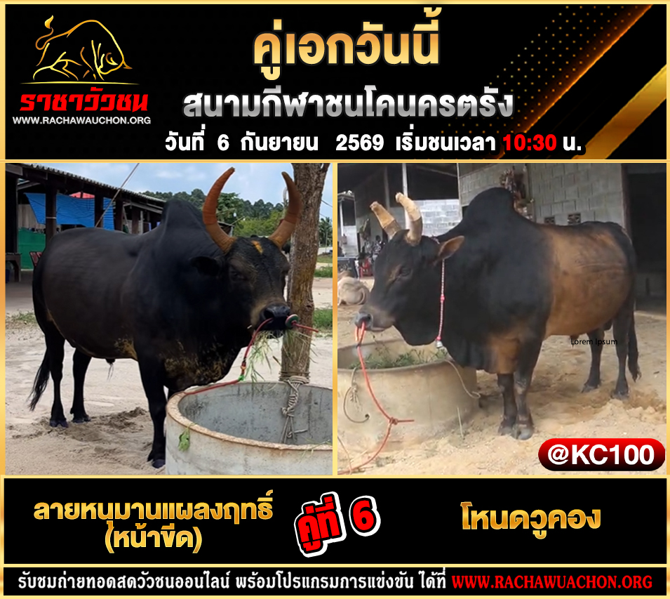 โปรแกรมวัวชนวันนี้ 6-9-2569