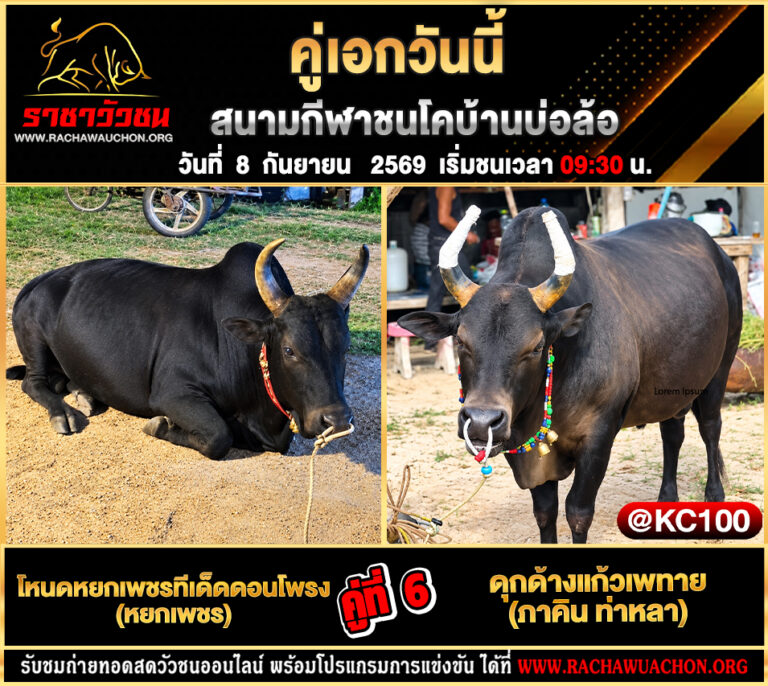โปรแกรมวัวชนวันนี้ 8-9-2569