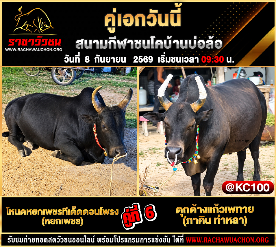 โปรแกรมวัวชนวันนี้ 8-9-2569