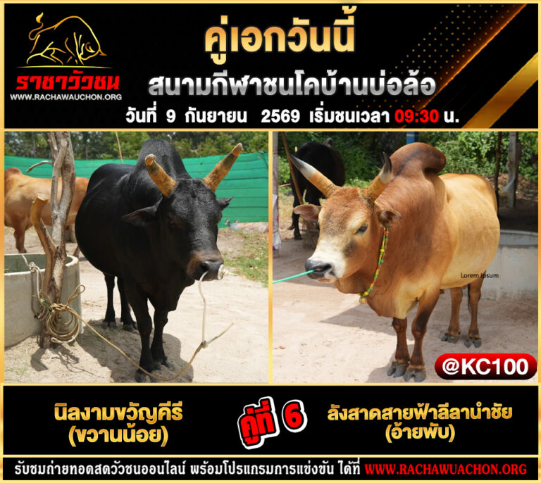 โปรแกรมวัวชนวันนี้ 9-9-2569
