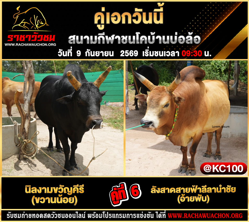 โปรแกรมวัวชนวันนี้ 9-9-2569