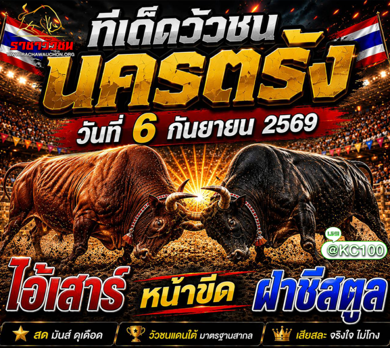 ทีเด็ดวัวชน 6-9-2569